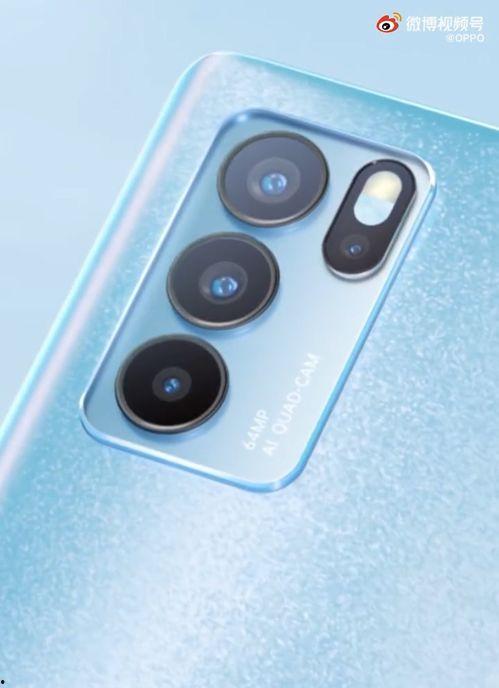 仙鱼最新爆料视频大全下载,揭秘幕后真相，带你领略仙鱼魅力